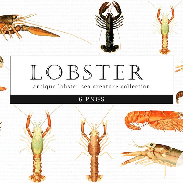 Lobster Vintage Sea Animal illustration Clip Art, Clipart, Fussy Cut, Ephemera, collages, Invitations, Decoupage, Wall Art Print