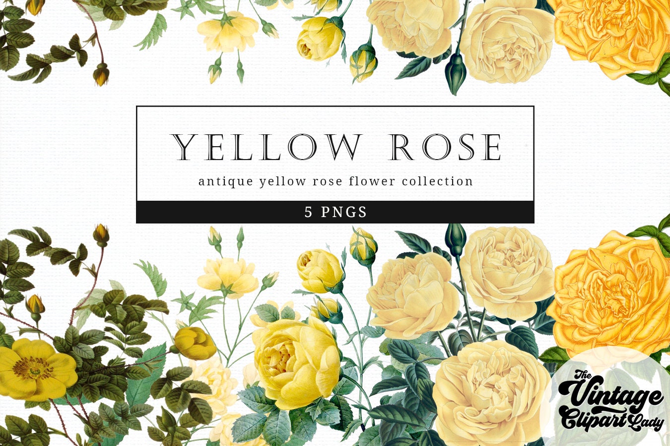 Soft Yellow Roses Border Yellow Roses Border