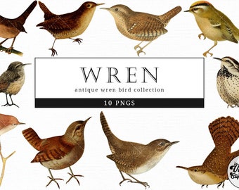 Wren Vintage Animal illustration Clip Art, Clipart, Fussy Cut, Ephemera, collages, Invitations, Decoupage, Wall Art Print