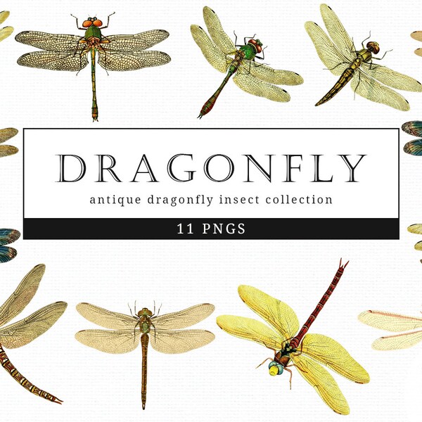 Dragonfly Vintage Insect illustration Clip Art, Clipart, Fussy Cut, Ephemera, collages, Invitations, Decoupage, Wall Art Print