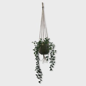 May include: A hanging planter featuring a dark olive green pot suspended by a natural tan jute rope system. The pot contains a trailing green plant with small, pointed leaves that cascade downwards, creating a lush, layered appearance.