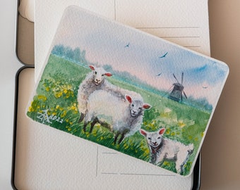 Handmade  watercolour postcards – Cute sheeps.