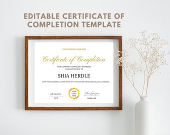 Plantilla de certificado de finalización imprimible editable, capacitación, premio, logro, clase, curso, programa, descarga digital Acceso instantáneo