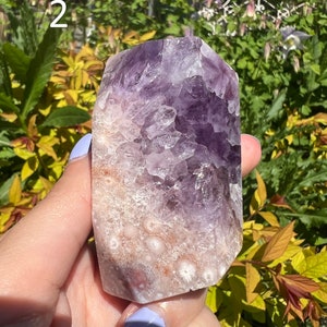 Amethyst Flower Agate Freeforms