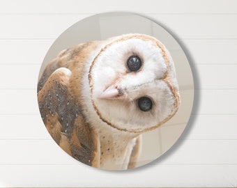 Owl Wall Decor, Owl Wall Art, Animal Wall Decor, Modern Wall Art, Glass Art, Tempered Glass, Wall Hanging, Living Room Wall Art, Home Decor