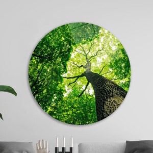 Green Tree Glass Wall Art, Forest Wall Decor, Tree Photography Wall Art, Green Glass Wall Art, Tree Glass Printing, View Glass, image 1