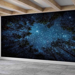 Schöne Sternenhimmel Wandbild, Nachthimmel Wandbild, Tapete mit Waldblick, Nachtsicht Tapete, Akzent Wand, Landschaftswand Kunst, Kontaktpapier