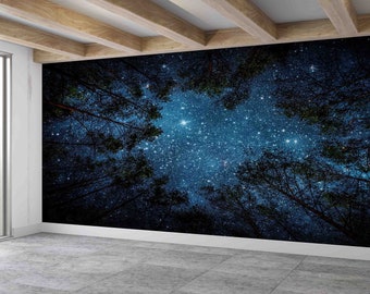 May include: A night sky filled with stars seen through the branches of trees. The sky is a deep blue with white stars scattered across it. The trees are silhouetted against the sky.