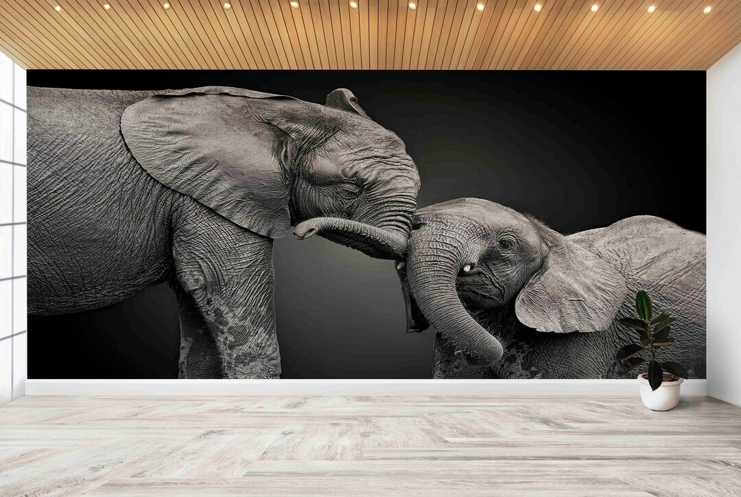 Buy Elephant Baby and Mom Wall Print, Wild Wall Decals, Animal Wall