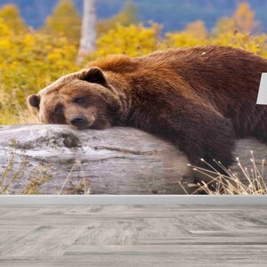 Orso bruno che riposa su un tronco Arte di carta, Arte murale dell'orso, Arte di carta dell'orso carino, Arte di carta degli animali, Decorazione murale divertente, Decalcomanie per pareti, Origami 3D,