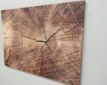 Wood Texture Print, Tree Ring Canvas Art, Wood Crack Poster, Modern Wall Art, Brown Wall Art, Abstract Wood Decor, Contemporary Wall Art,