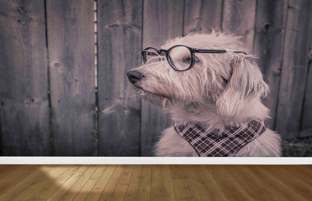 Buy Dog Digital Paper, Dog With Glasses Wall Mural, Wallpaper Art