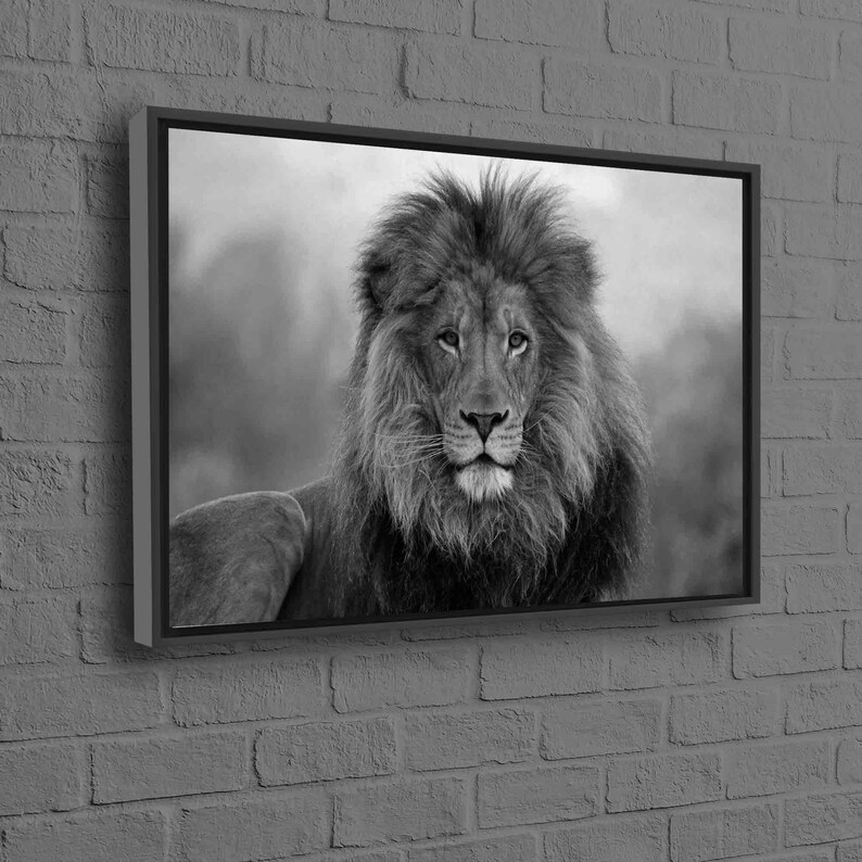 Lion Photo Print, Wild Lion Artwork, Loft Poster, Animal Wall Art, Wild Animal Poster, Lion Wall Art, Wildlife Art, Animalistic Canvas, image 8