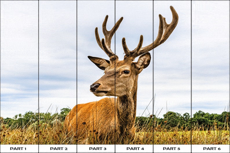 Buy Caribou Wallpaper, Deer Landscape Wall Decor, Safari Wallpaper