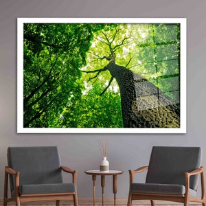 Green Tree Glass Wall Art, Forest Wall Decor, Tree Photography Wall Art, Green Glass Wall Art, Tree Glass Printing, View Glass, image 3