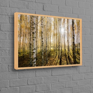 Birkenwald Wandbild, Birken Wald Landschaft 3D, Landschaftsposter, Baum Landschaft, Geschenk zur Geburt, Baby Geschenk