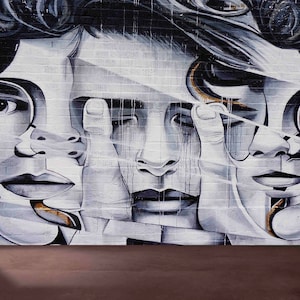 Frau Graffiti Kunst, Graffiti Papierkunst, Graffiti Tapete, Abstrakte Frau Wandbild, Wanddekoration, Abstrakte Gesichter Kunst, Graues 3D-Tapeten