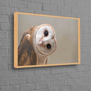 Arte moderno, arte mural contemporáneo, decoración de pared, arte mural, póster de regalo para amantes de los búhos, lienzo loft, lienzo personalizado, búho, arte en lienzo de búhos,