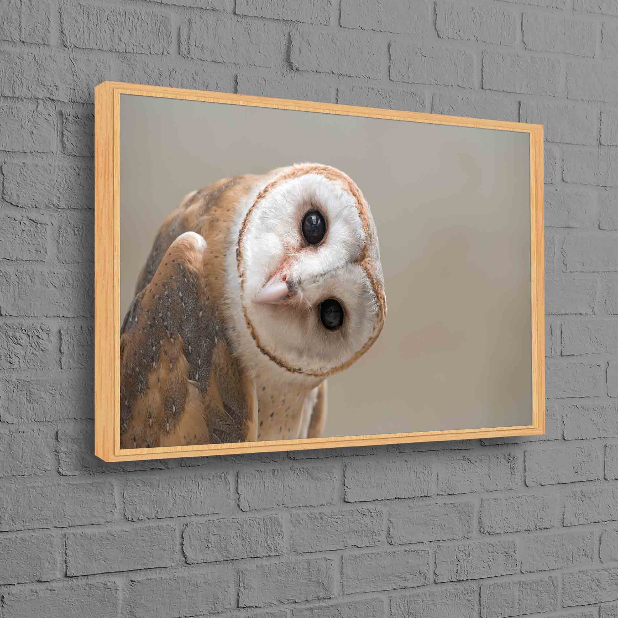 Modern Art, Contemporary Wall Art, Wall Decor, Wall Art, Owl Lover Gift Poster, Loft Canvas, Custom Canvas, Owl, Owl Canvas Art,