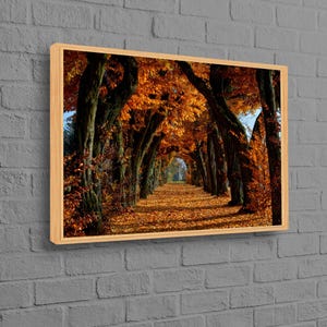 Arte de paisaje de árboles, póster de vista, lienzo de decoración del hogar, arte de pared de paisaje de árboles otoñales, arte de pared de paisaje otoñal, lienzo de arte moderno,