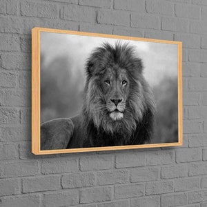 Impresión fotográfica de león, obra de arte de león salvaje, póster de loft, arte de pared de animales, póster de animales salvajes, arte de pared de león, arte de vida silvestre, lienzo animalístico,