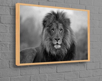 Löwe Fotodruck, Wilder Löwe Kunstwerk, Loft Poster, Tier Wandkunst, Wildtier Poster, Löwen Wandkunst, Wildtier Kunst, Animalistische Leinwand,