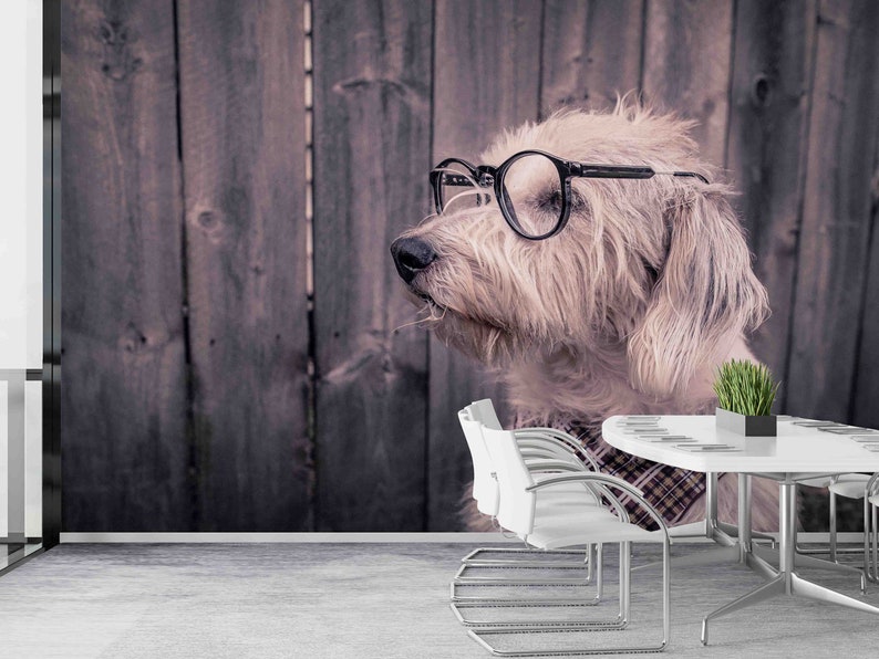 Buy Dog Digital Paper, Dog With Glasses Wall Mural, Wallpaper Art