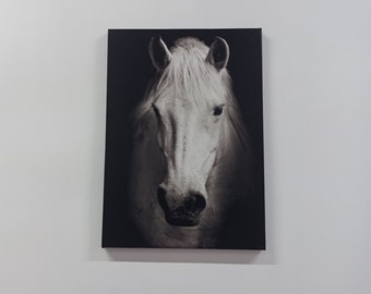 White Horse Photo Print, White Horse Art Canvas, Contemporary Art, Modern Artwork, Horse Lover Gift Art Canvas, Horse Photo Wall Decor,