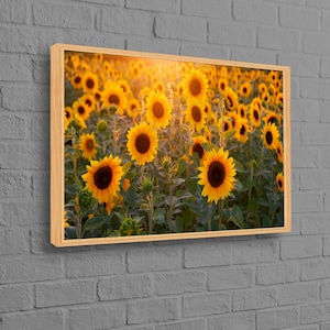 Sunflower Field Canvas Art, Sunflower Art Canvas, Landscape Canvas Art, Kitchne Wall Art, Canvas Wall Art, Personalized Gifts,
