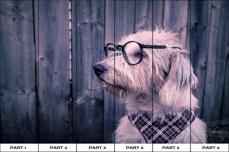 Buy Dog Digital Paper, Dog With Glasses Wall Mural, Wallpaper Art