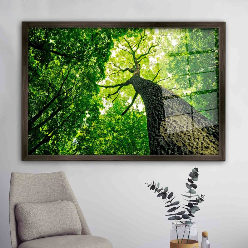 Green Tree Glass Wall Art, Forest Wall Decor, Tree Photography Wall Art, Green Glass Wall Art, Tree Glass Printing, View Glass, image 6