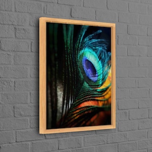 Peacock Canvas Decor, Feather Canvas Gift, Custom Wall Decor, Canvas Art, Canvas Gift, Peacock Feather, Peacock Feather 3D Canvas,
