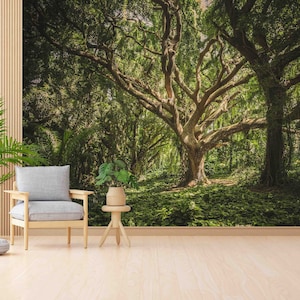 Alter Baum Landschaft Wandbild, Grüne Wand-Tapete, Wald Wandkunst, Wanddekoration, Landschafts Tapete, Natur Tapete, Wandbild 3D,
