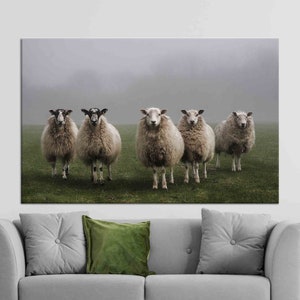 Canvas Wall Art, Sheep, Sheep Wall Decor, Canvas Gift, Farm Canvas Art, Animal Artwork, Canvas Decor, Farmhouse Poster,