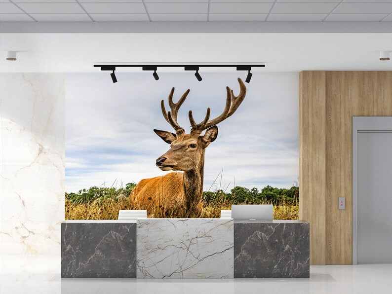 Buy Caribou Wallpaper, Deer Landscape Wall Decor, Safari Wallpaper