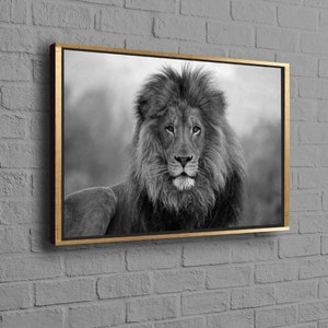 Lion Photo Print, Wild Lion Artwork, Loft Poster, Animal Wall Art, Wild Animal Poster, Lion Wall Art, Wildlife Art, Animalistic Canvas, image 10