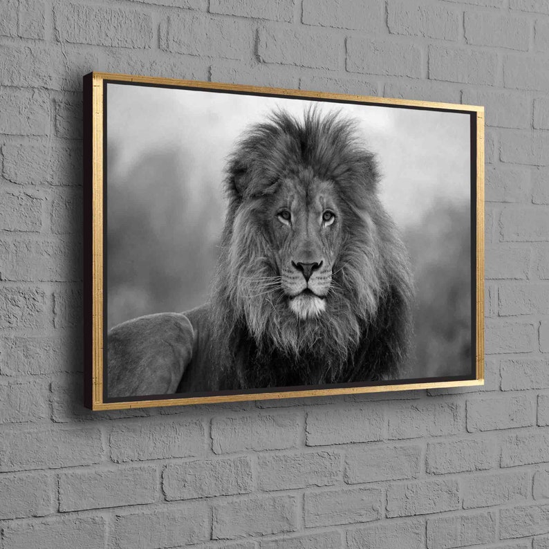 Lion Photo Print, Wild Lion Artwork, Loft Poster, Animal Wall Art, Wild Animal Poster, Lion Wall Art, Wildlife Art, Animalistic Canvas, image 10