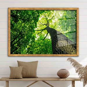 Green Tree Glass Wall Art, Forest Wall Decor, Tree Photography Wall Art, Green Glass Wall Art, Tree Glass Printing, View Glass, image 7