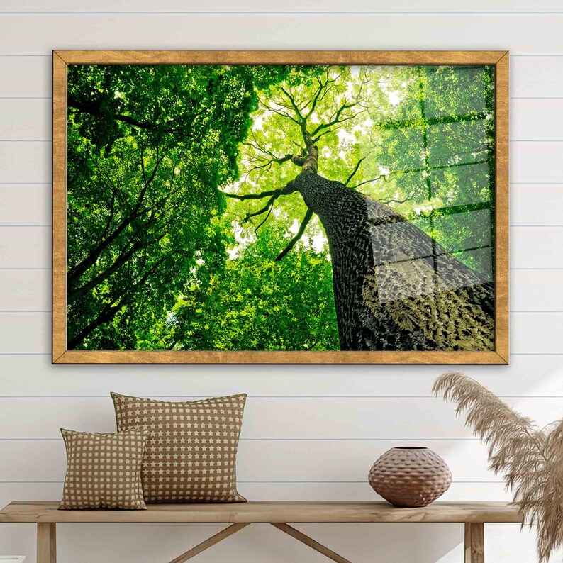 Green Tree Glass Wall Art, Forest Wall Decor, Tree Photography Wall Art, Green Glass Wall Art, Tree Glass Printing, View Glass, image 7