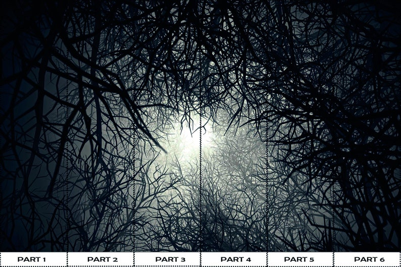 Buy Forest Landscape Wallpaper, Wallpaper Art, Landscape Paper Art