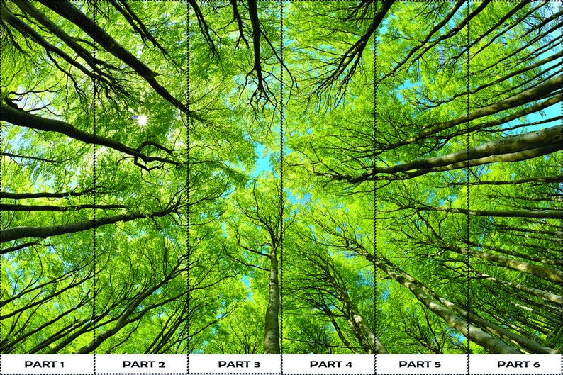 Buy Forest View Wall Stickers, Wall Decorations, Tree Wall Mural, Tree