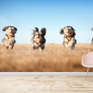 Cute Running Dogs Wall Stickers, Four Cute Dogs Paper Craft, Running Dogs Digital Paper, Animal Wall Paper, Wallpaper Art, Dogs Wall Art,