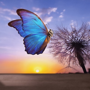 Poster da parete con tarassaco, arte su carta con animali, murale con farfalla Morpho e tarassaco, carta digitale Beauty of the Nature, parete decorativa, arte con farfalle
