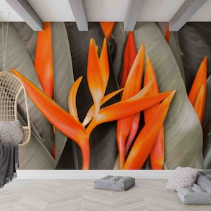 Bird of Paradise Wall Mural, Tropical Orange Flower Wallpaper, Bold Nature Leaf Peel and Stick Botanical Wall Decor, Wall Decor