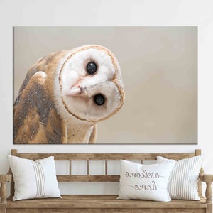 Modern Art, Contemporary Wall Art, Wall Decor, Wall Art, Owl Lover Gift Poster, Loft Canvas, Custom Canvas, Owl, Owl Canvas Art,