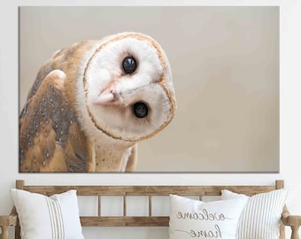 Modern Art, Contemporary Wall Art, Wall Decor, Wall Art, Owl Lover Gift Poster, Loft Canvas, Custom Canvas, Owl, Owl Canvas Art,