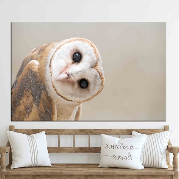 Owl Wall Art Etsy