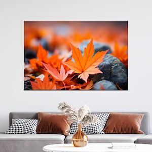Könnte beinhalten: Leinwanddruck mit leuchtend orangefarbenen Ahornblättern auf grauen Steinen. Die Blätter zeigen detaillierte Adern, die mit dem unscharfen Hintergrund kontrastieren. Das Kunstwerk fängt den Herbst ein, mit einer warmen Farbpalette.