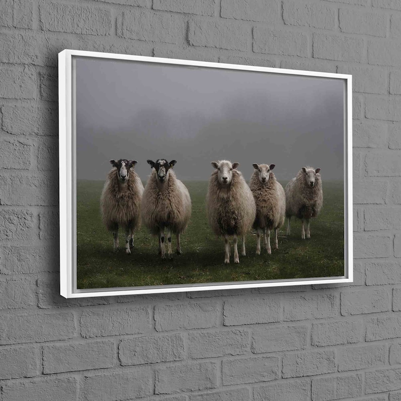 Canvas Wall Art Sheep Sheep Wall Decor Canvas Gift Farm Etsy