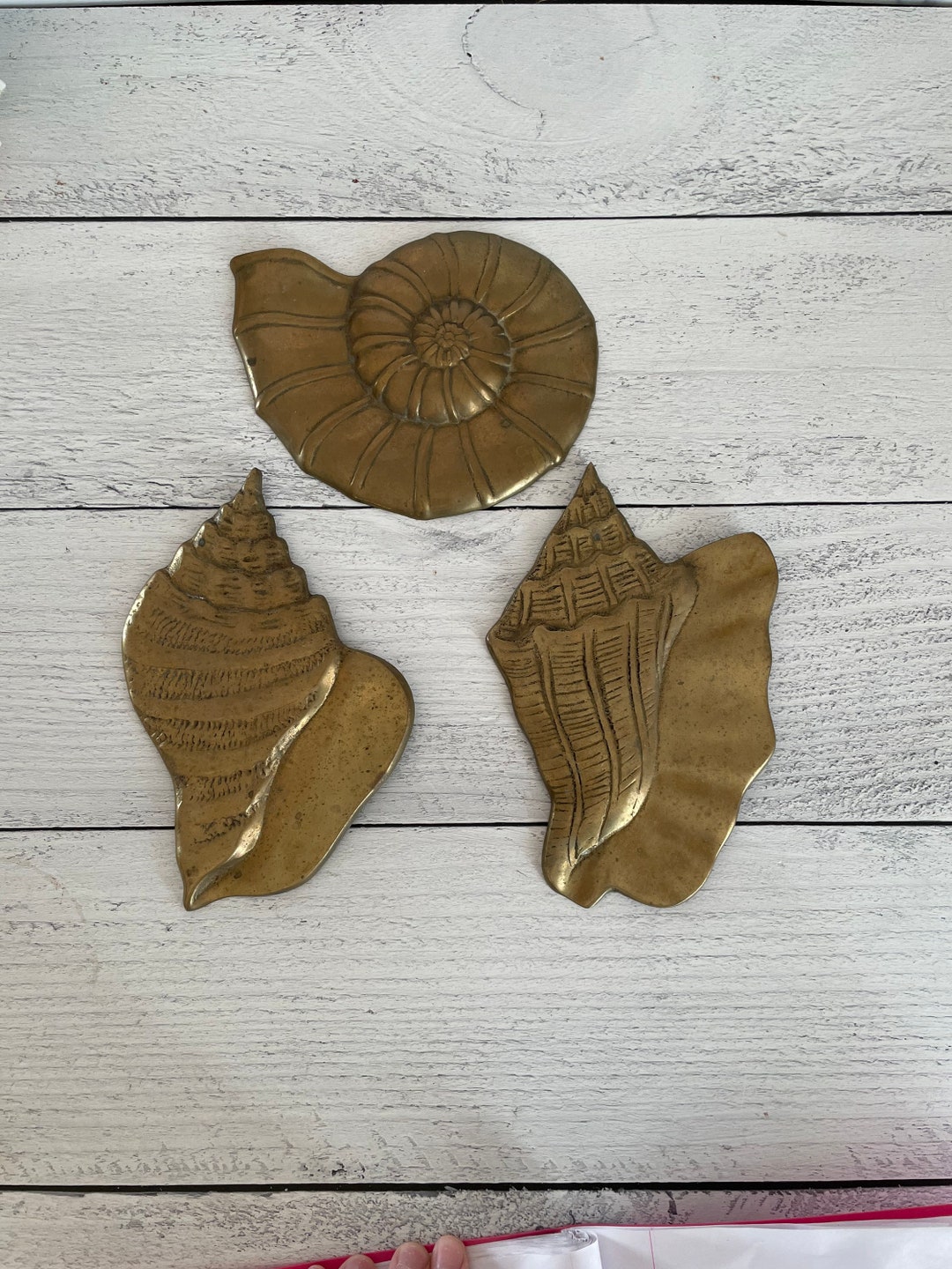 Vintage Brass Sea Shells Wall Decor Sea Shells Beach Decor Etsy